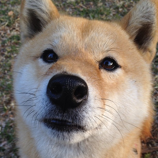 西甲裁判吹罚尺度变化对比赛节奏的微观影响分析,足球裁判吹哨视频