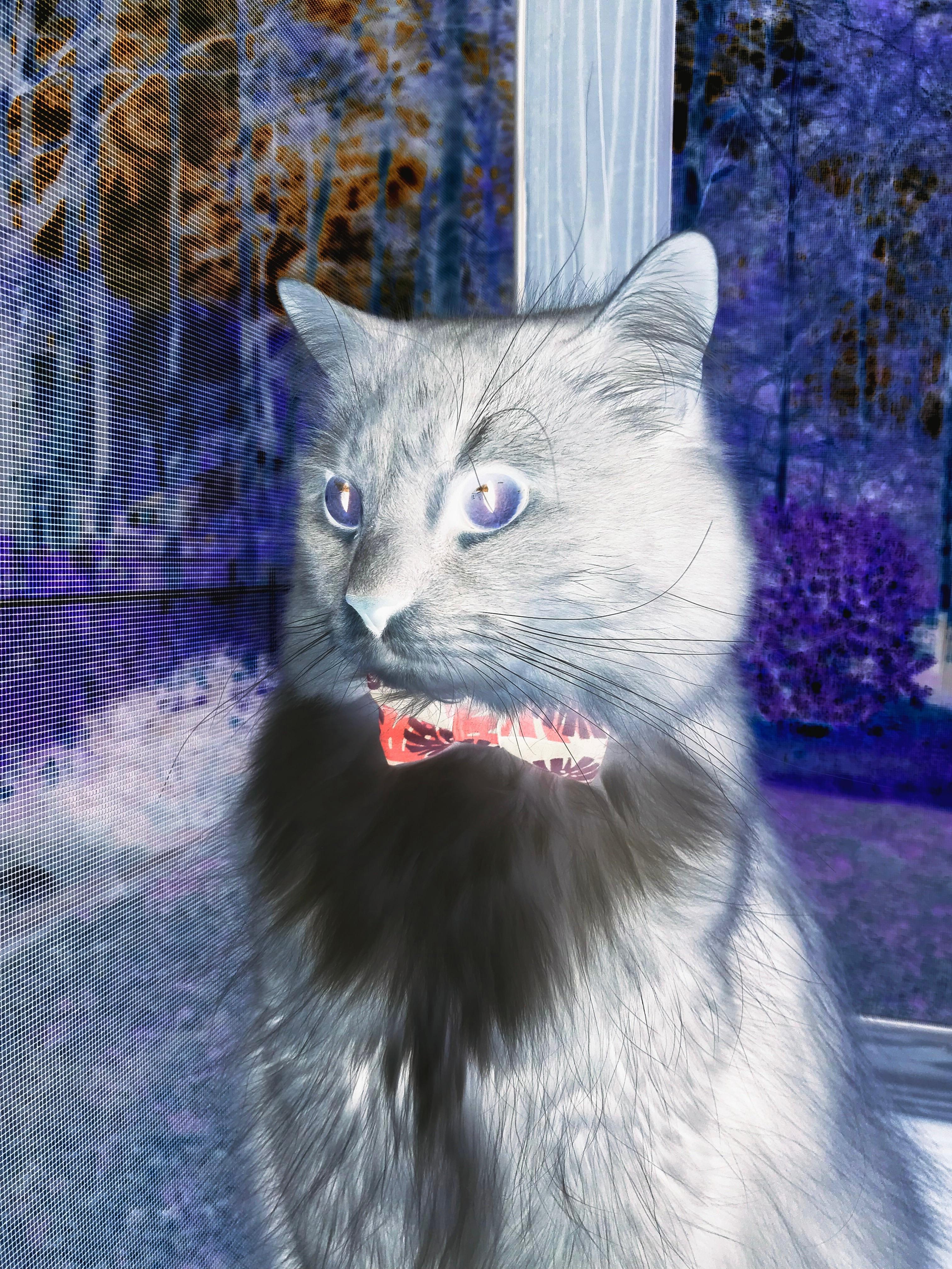 世界杯中国女足迎战 战术部署展现变化,中国女足世界杯亚军视频