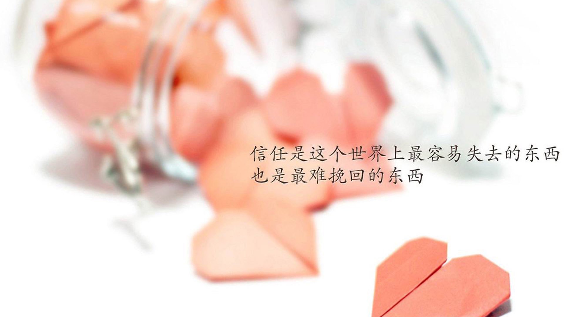 决赛亮点回顾,精彩瞬间不断,决赛启动