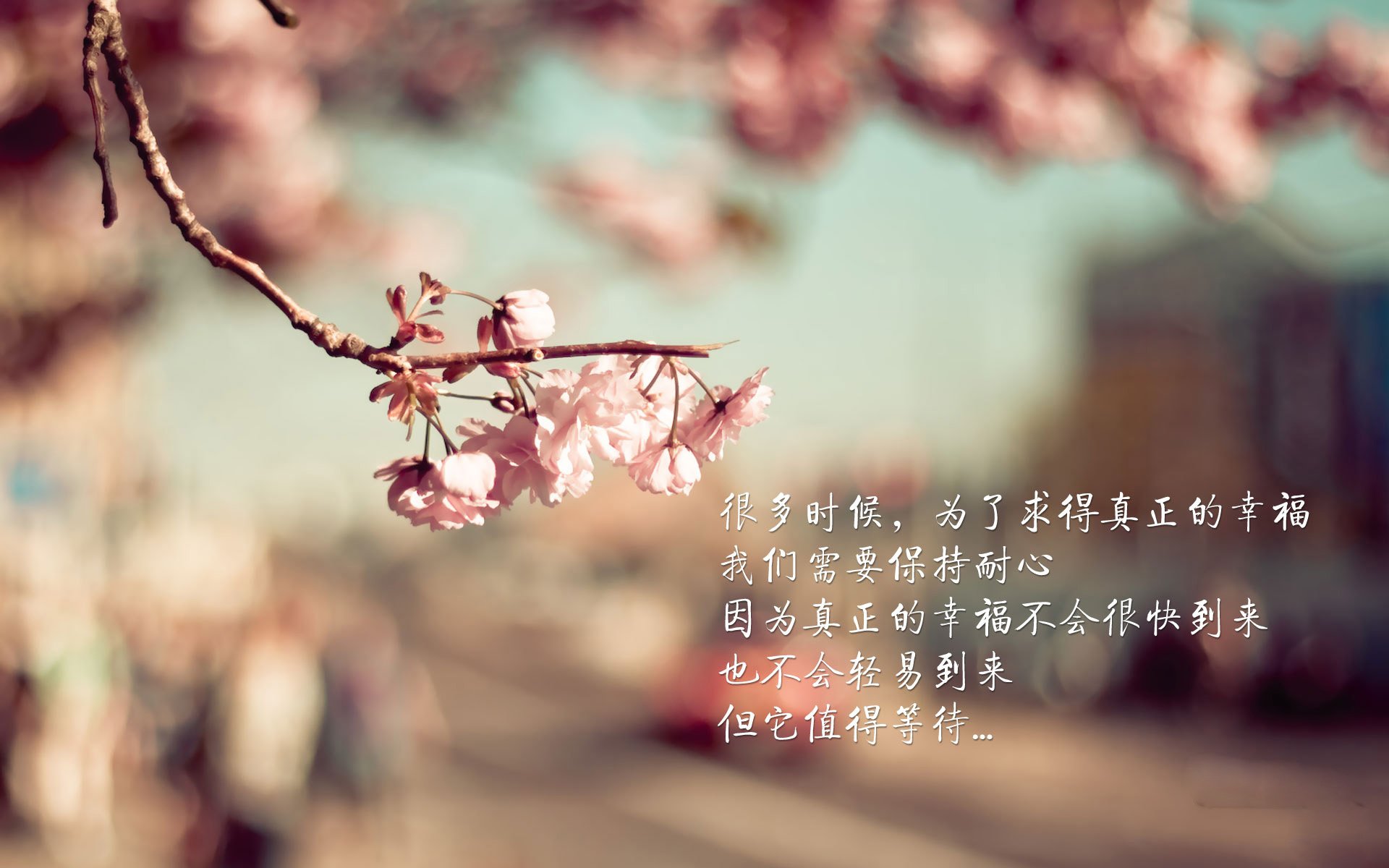 替补轮换科学,保持主力球员体能充沛,替补球员的作用