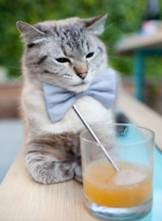 罗马尼亚队赛制影响:团体赛制下的心理战术与技术应用,罗马尼亚比赛延期