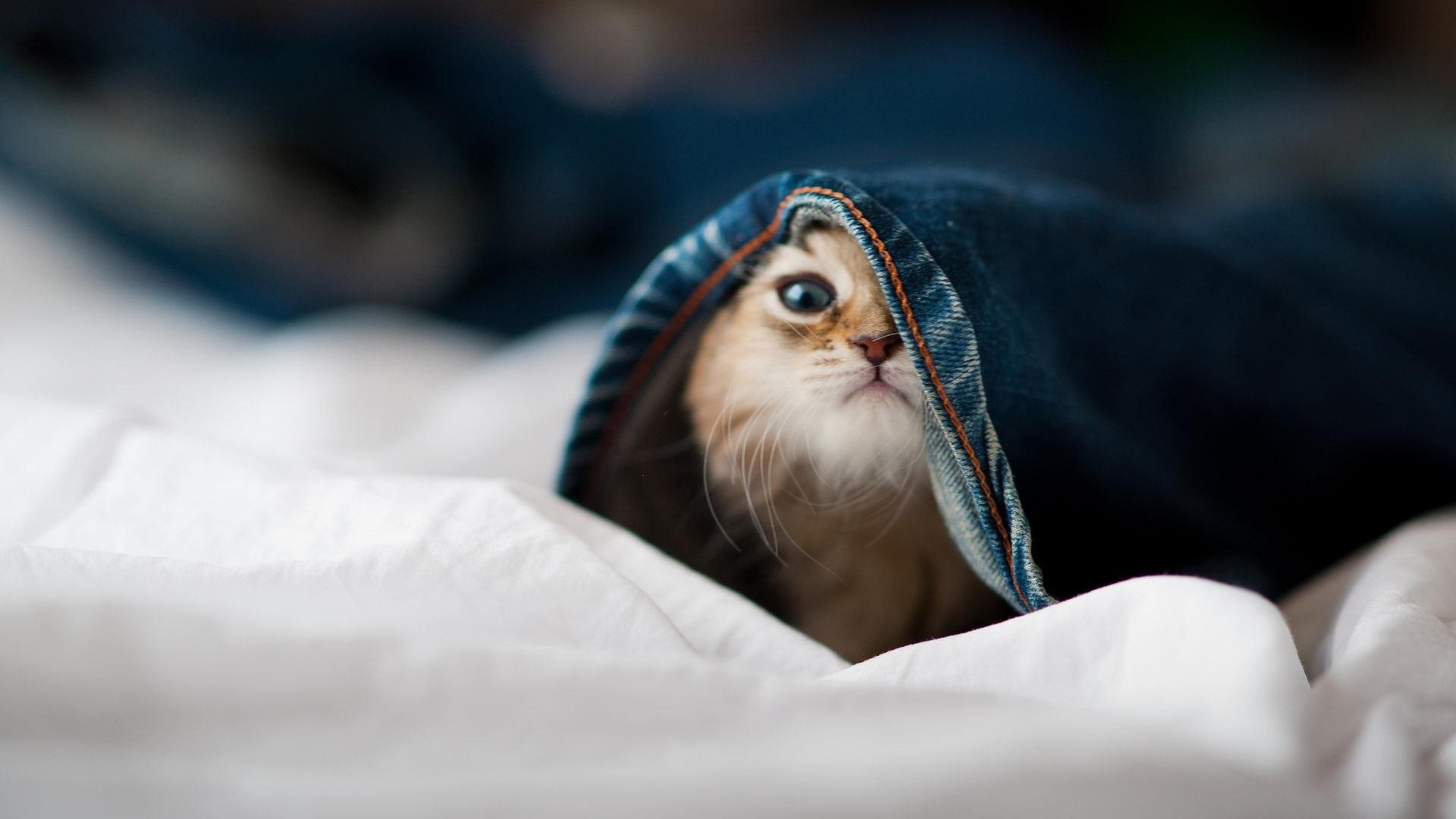 中小学篮球发展规划纳入区域教育政策保障持续推进,中小学篮球教学训练方法有哪些