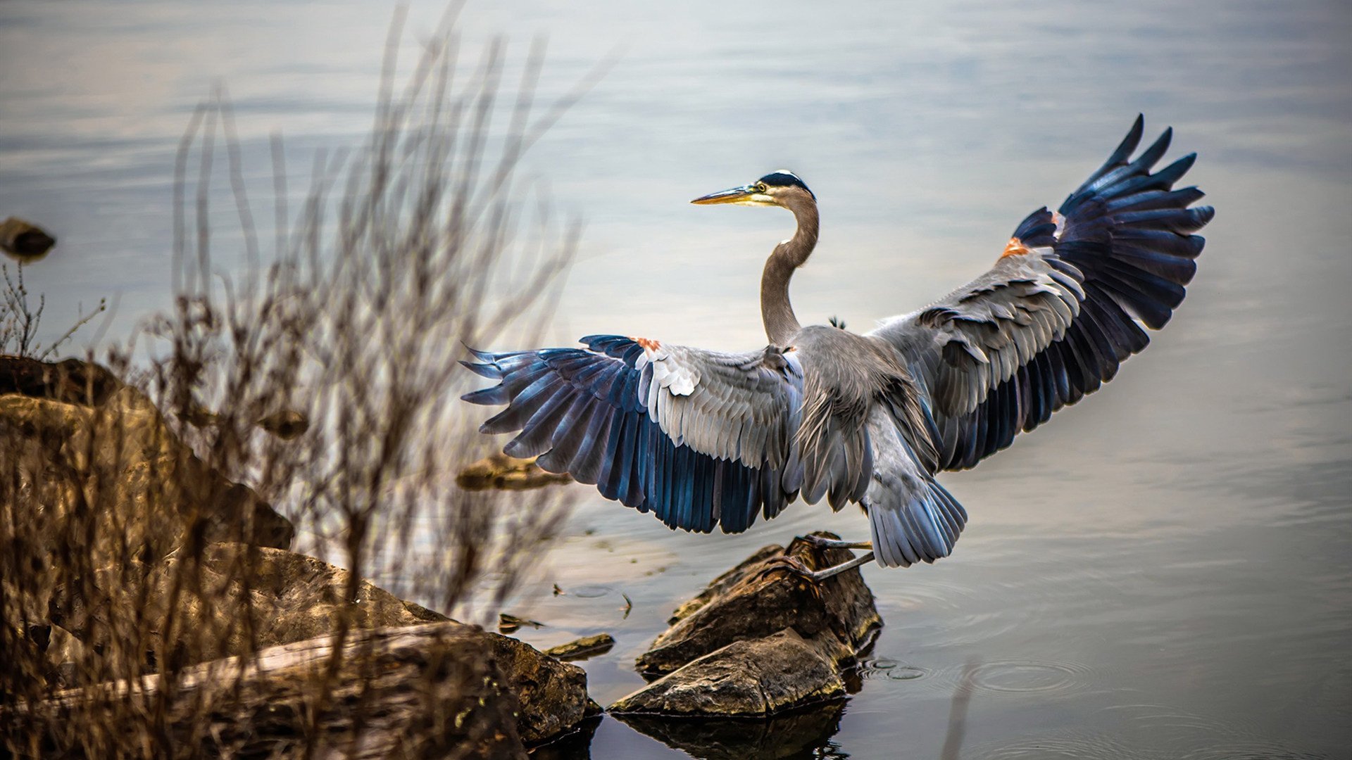 九游官网入口活动-体育公益项目助力青少年成长，体育公益项目名称