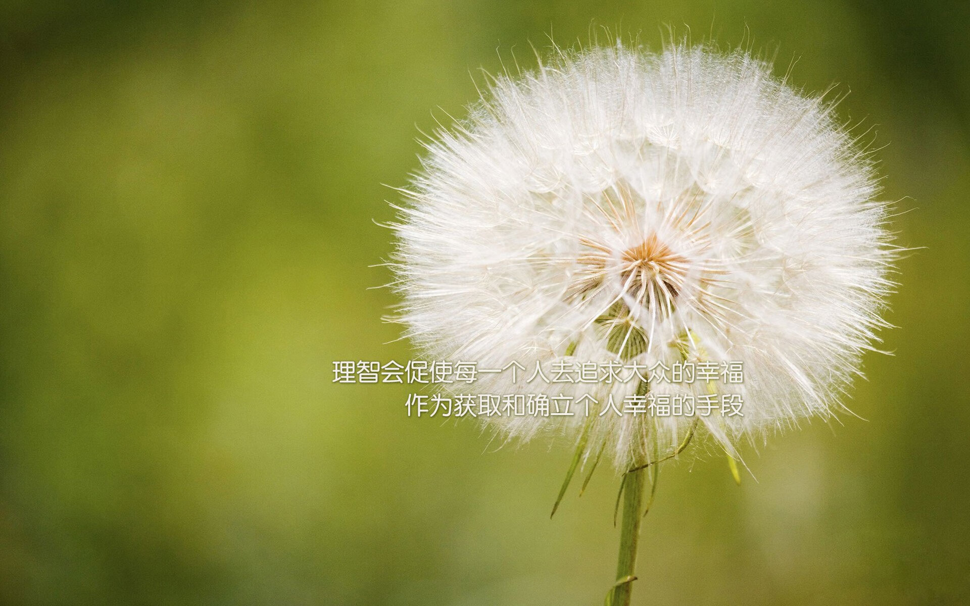 九游官网入口注册-俱乐部利用大数据分析优化训练计划提升比赛表现，大数据比赛数据分析