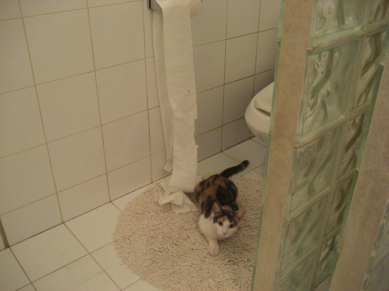 克洛普率领利物浦迎接新赛季挑战