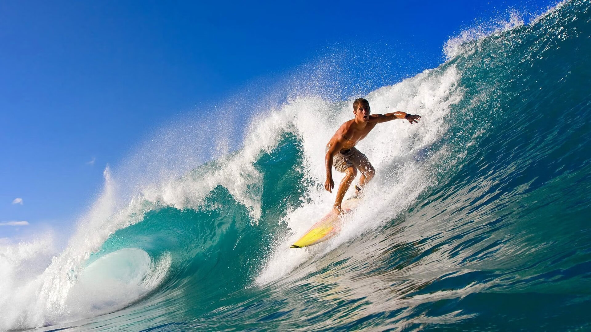 南非羚羊队：进攻与防守并重，全员协同作战成为球队的亮点，南非羚羊图片